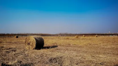 كازينو أدرينالين تطبيق الهاتف المحمول